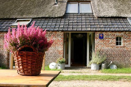 Bed And Breakfast Annen المظهر الخارجي الصورة